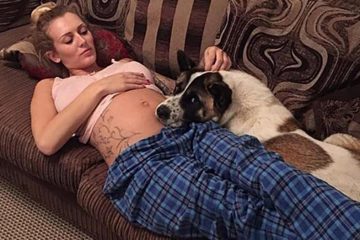 Mẹ bầu 20 tuần thấy lạ khi cún cưng cứ nhìn mình và khóc, đi kiểm tra mới hốt hoảng