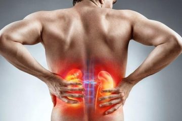 5 “bảo bối” vừa bổ thận vừa khoái khẩu: Người đau thận, yếu thận nên đưa vào thực đơn